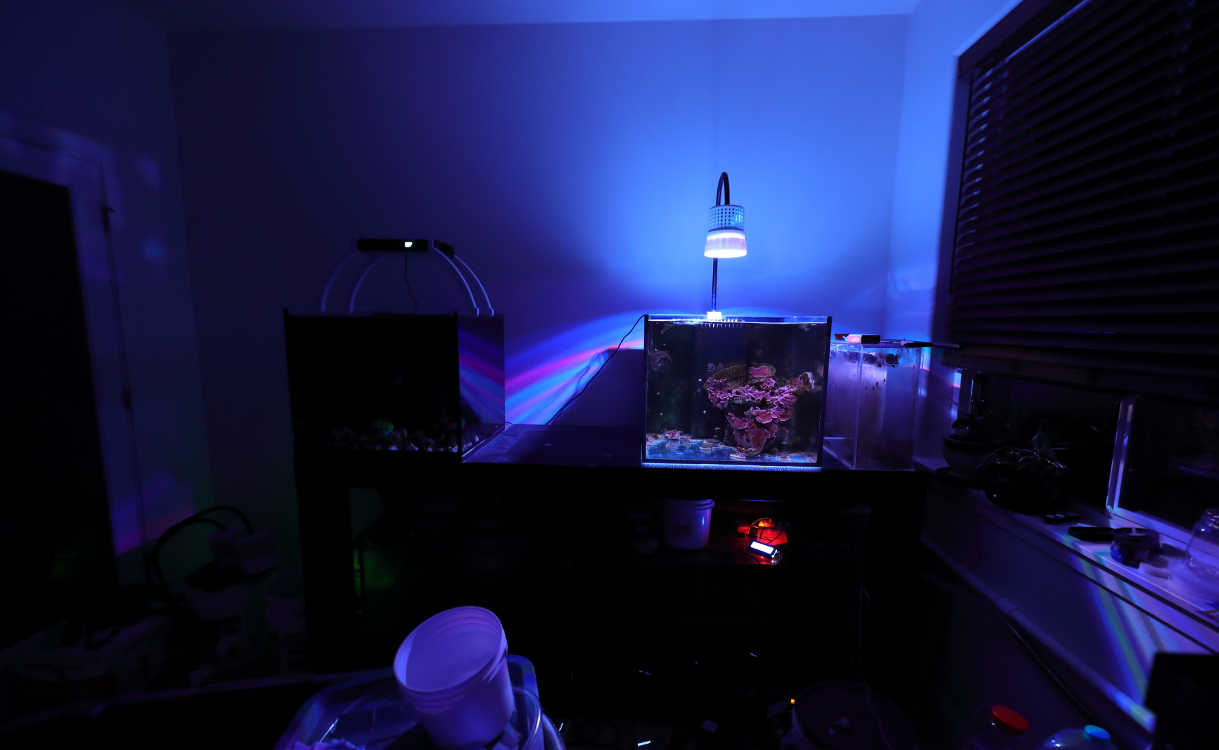 ReeFi® LED Duo – ReeFi Lab